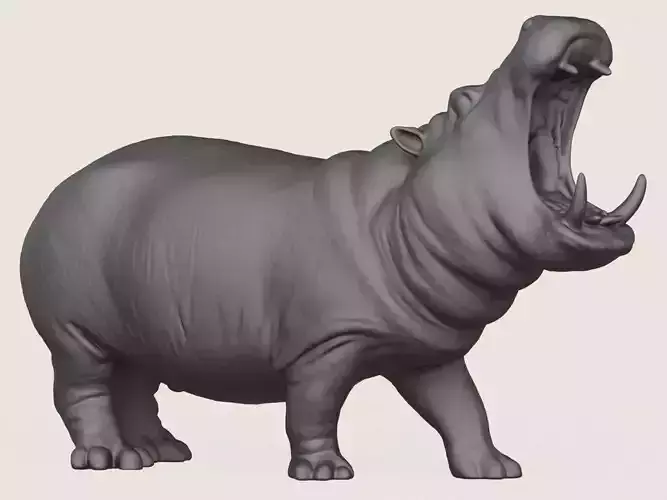 Hippopotamus Print Ready 3D Model