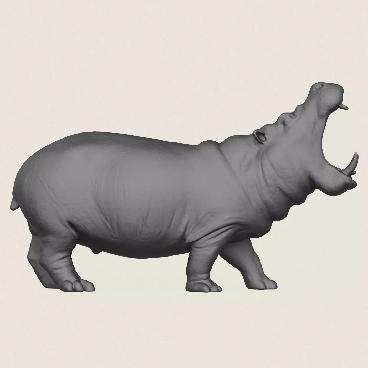 Hippopotamus Print Ready 3D Model 3D print model_2