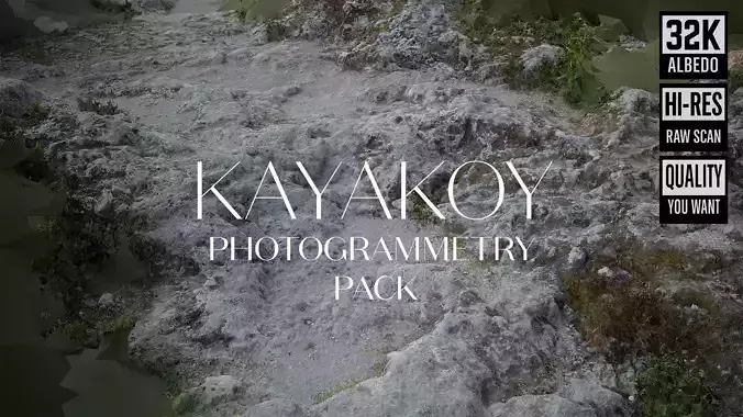 Abandoned  Village Surface Scan - Stone Ground 3D model