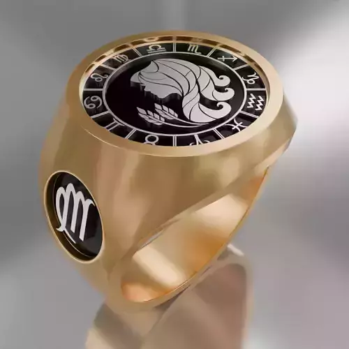12 zodiak symbol ring set 3D model for 3D printing 3D print model