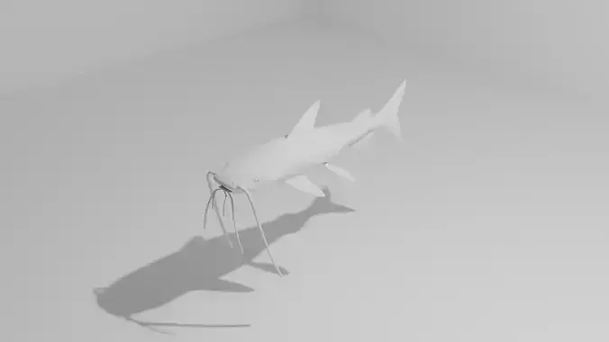 Lau Lau Fish Base Mesh