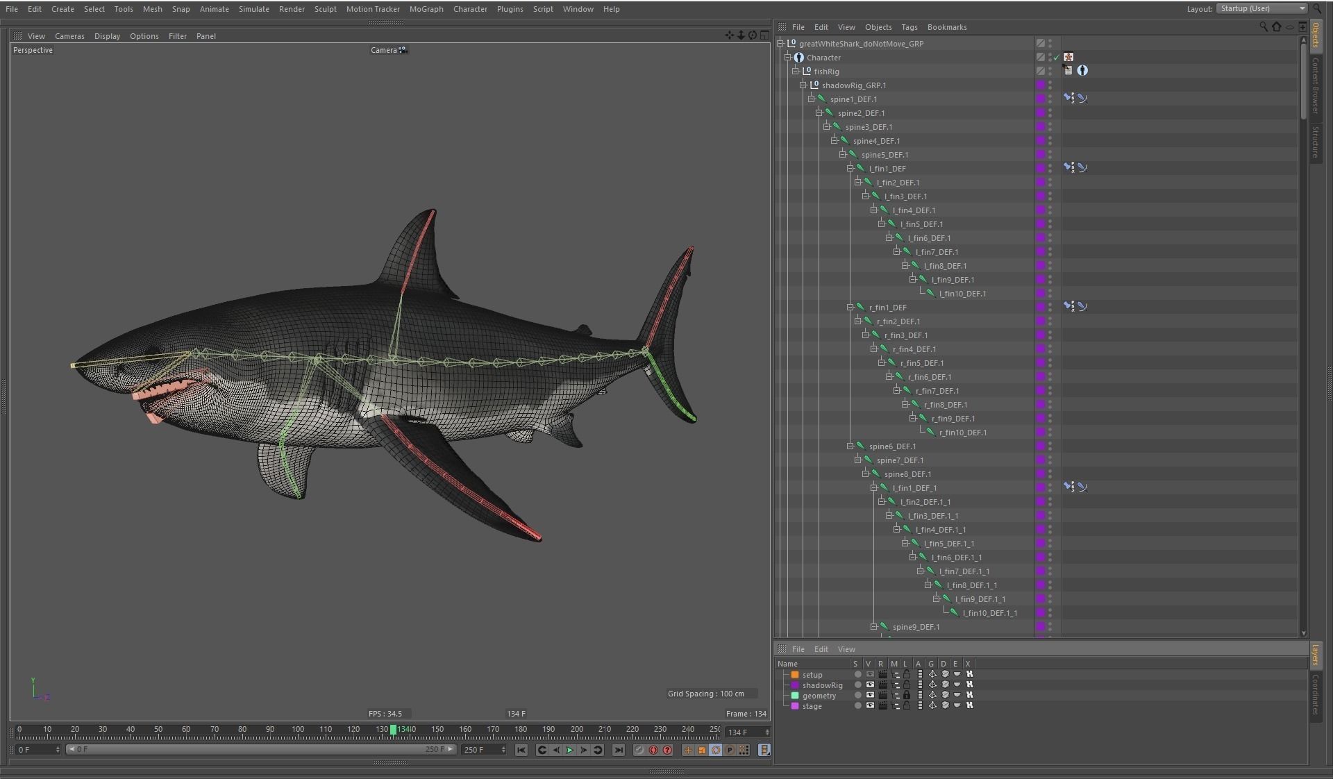 Great white shark rigged and animated for Cinema 4d  Low-poly 3D model_14
