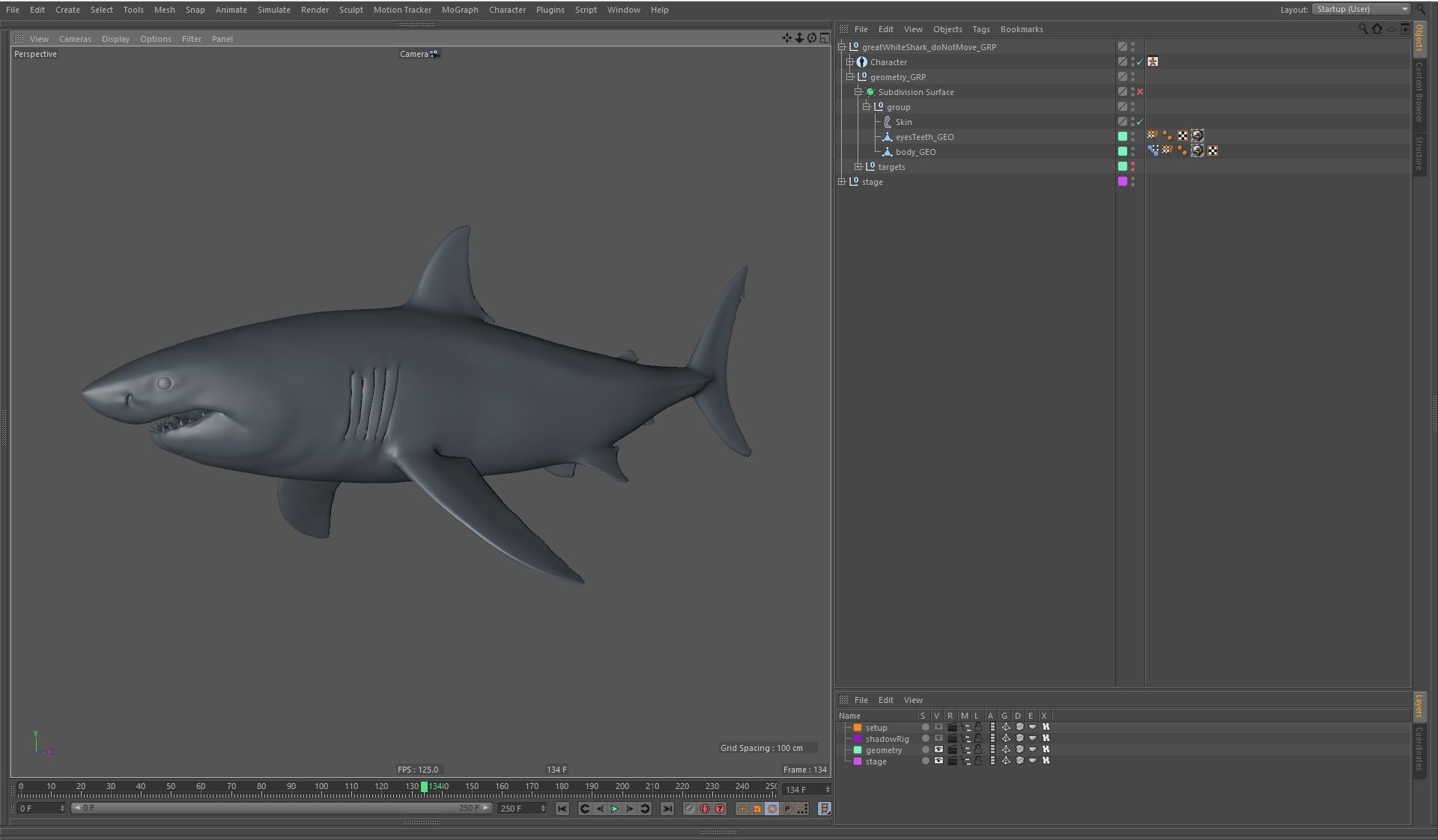 Great white shark rigged and animated for Cinema 4d  Low-poly 3D model_6