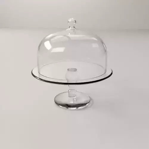 Cake Stand Dome