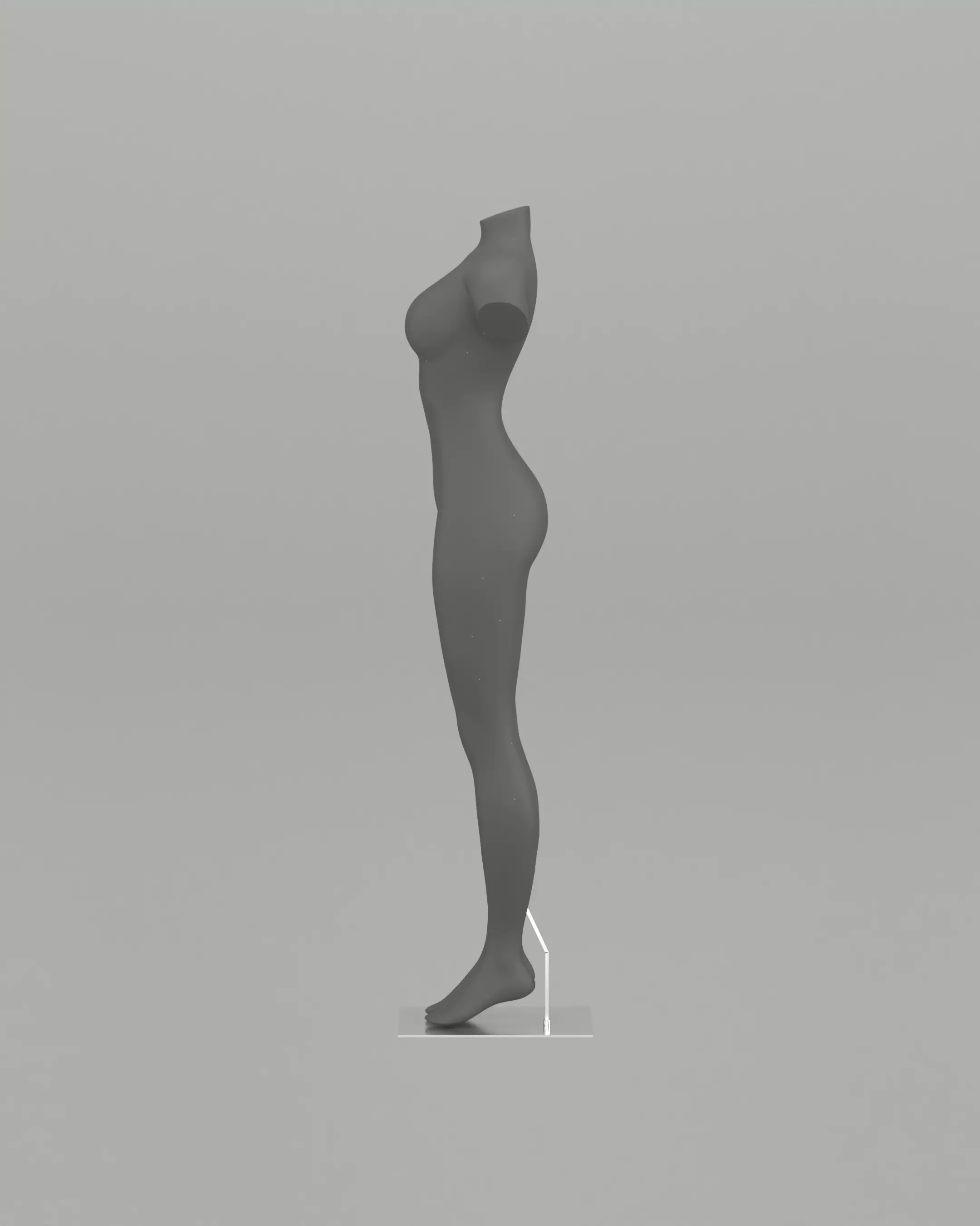 Female Mannequin Body 3D print model_3