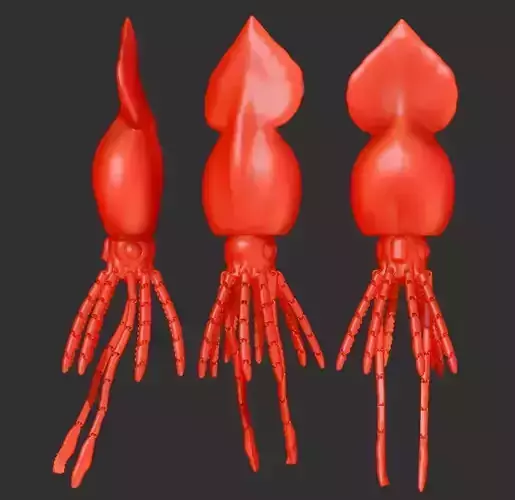 COLOSSAL SQUID 3D print model