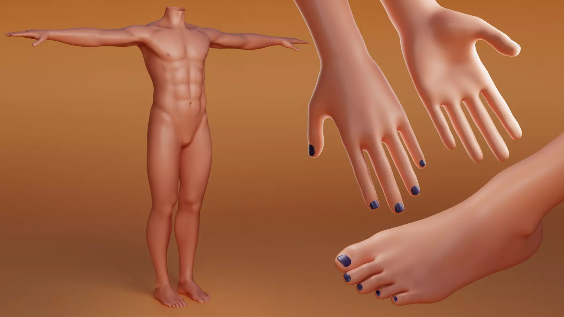 Human base F415 Low-poly 3D model_2