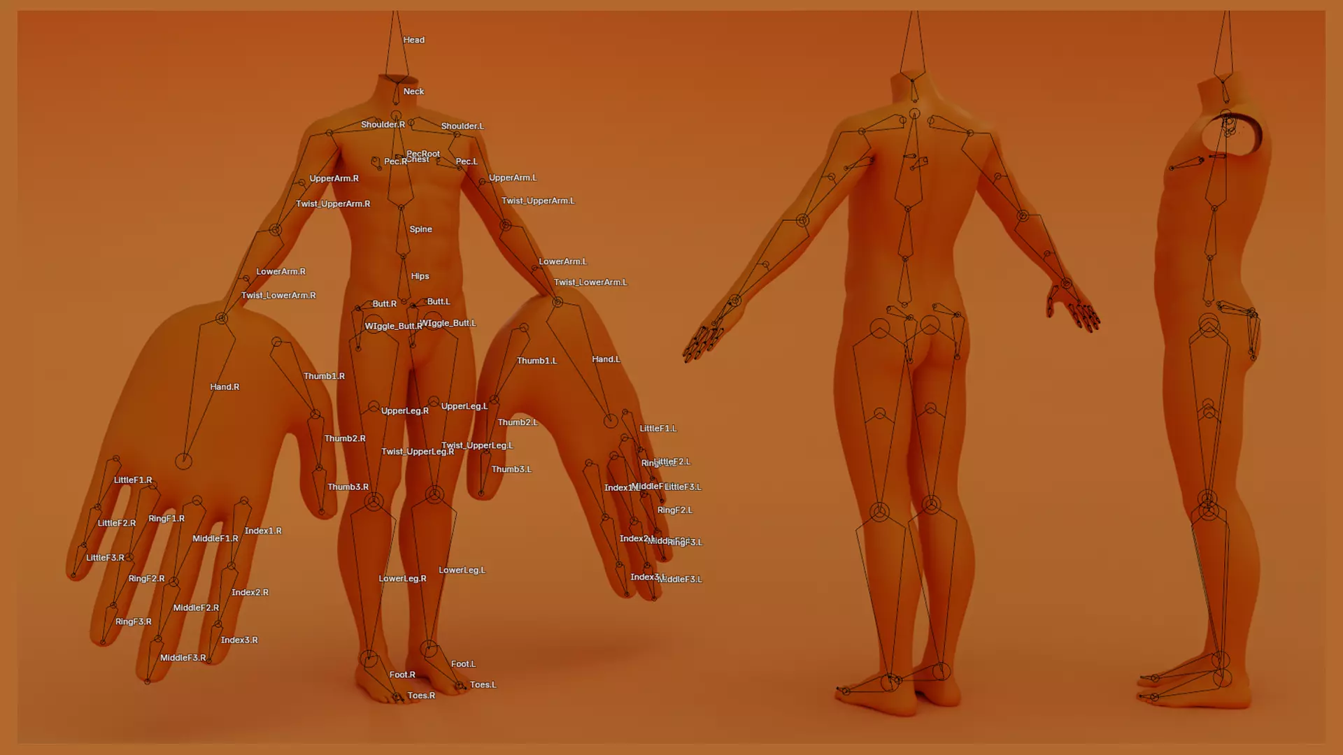 Human base F415 Low-poly 3D model_3