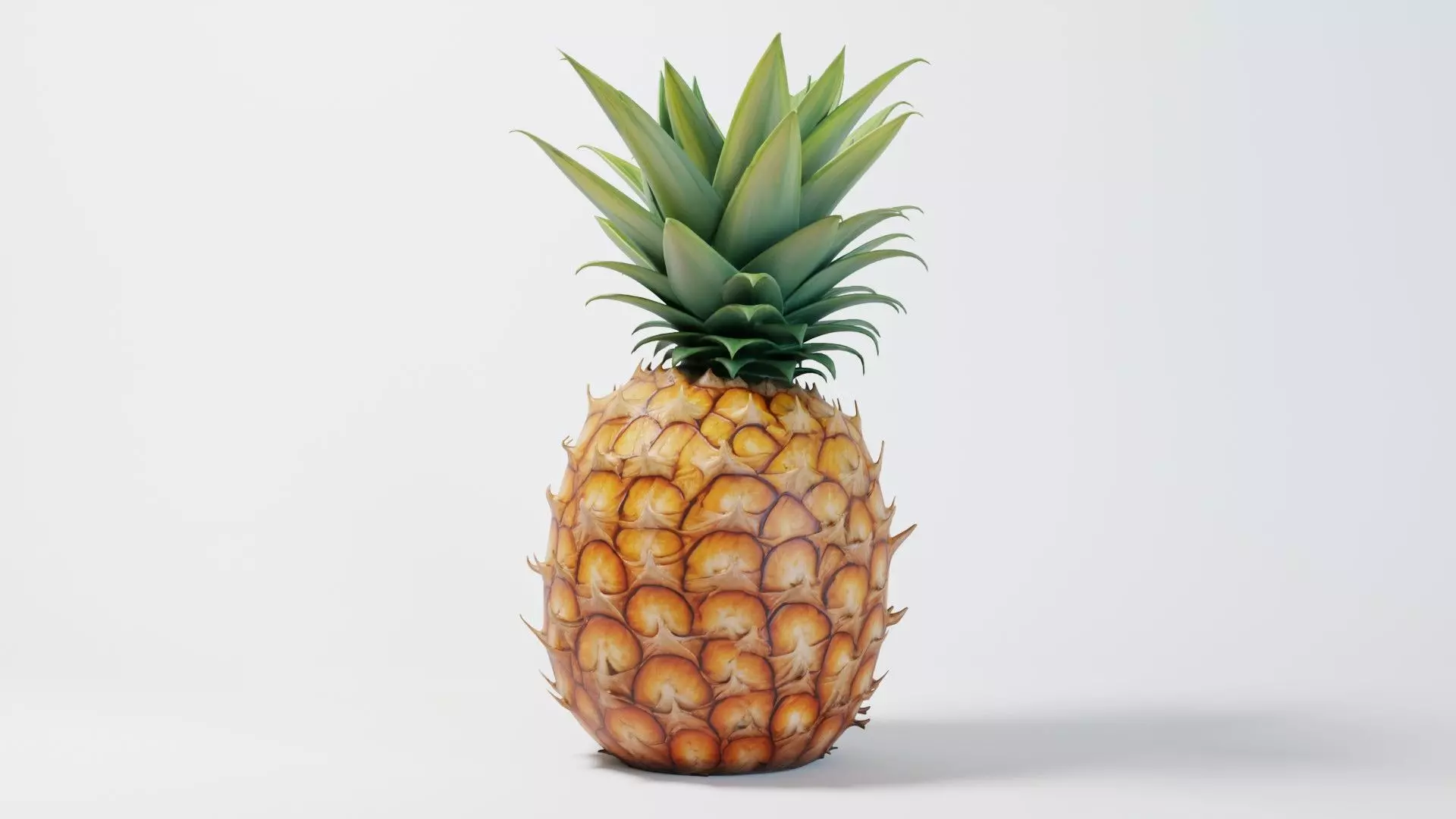 A Pineapple 3D model_0