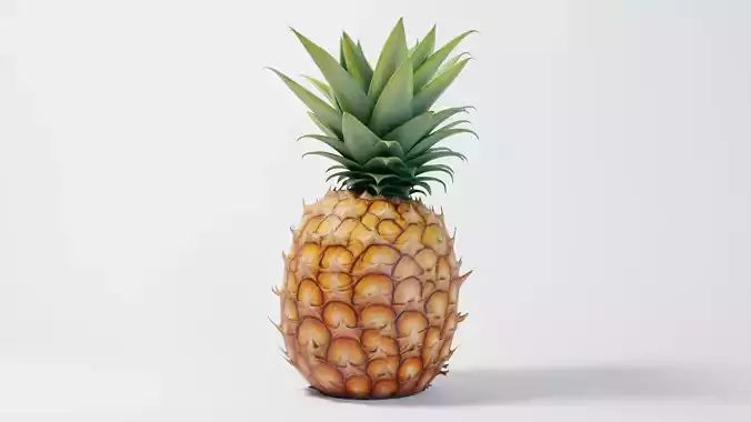A Pineapple 3D model
