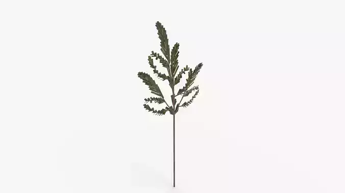 Faux Cedar Branch