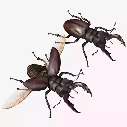 Stag Beetle Low-poly 3D model