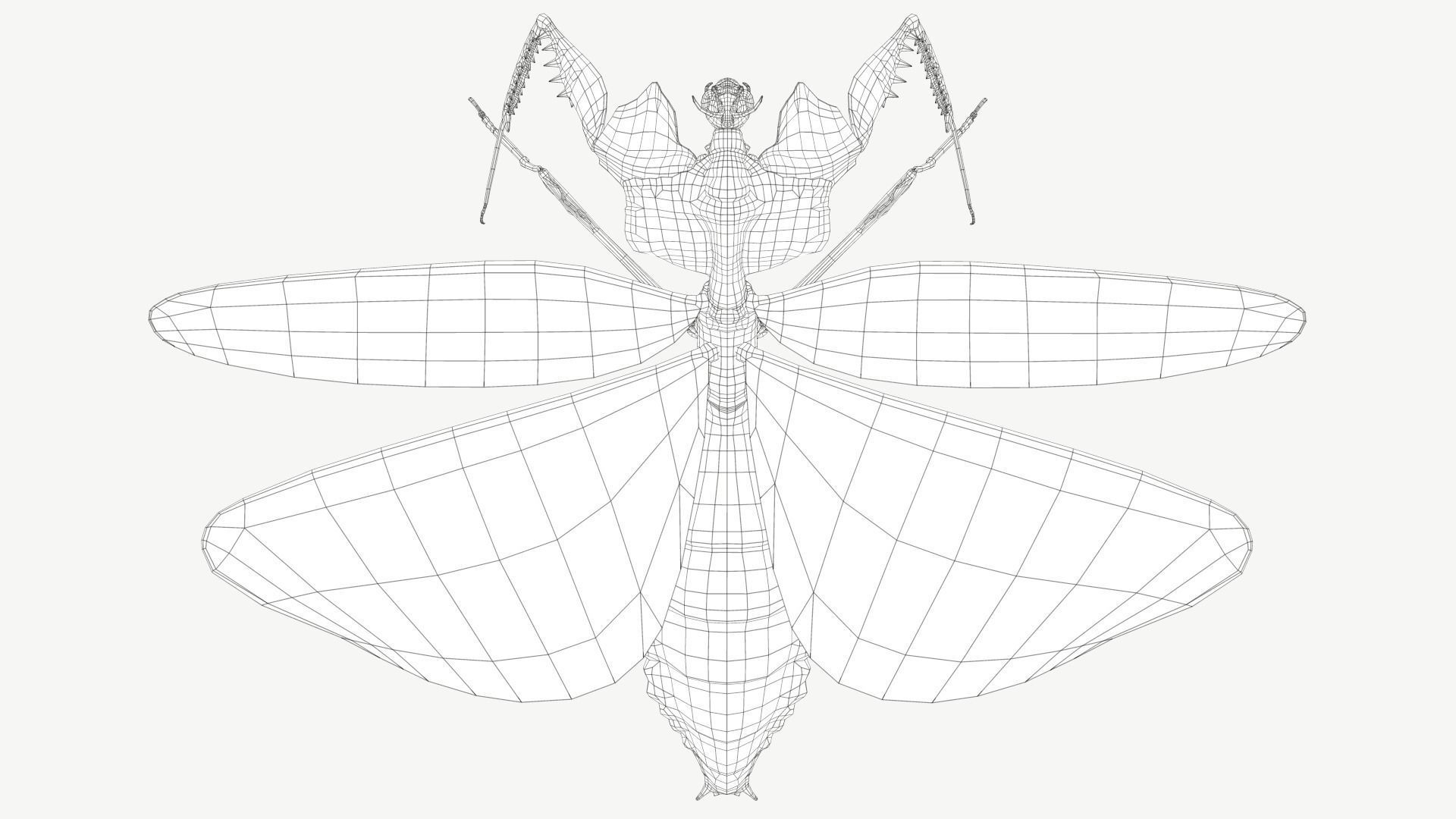 Giant Devils Flower Mantis Low-poly 3D model_10