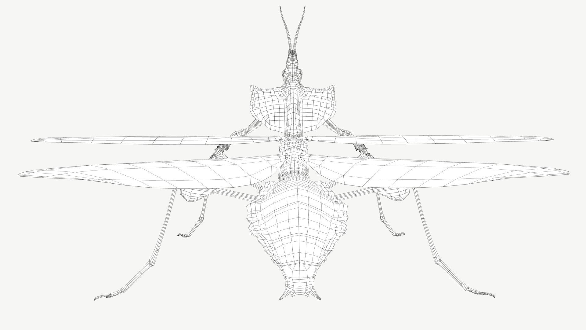 Giant Devils Flower Mantis Low-poly 3D model_8