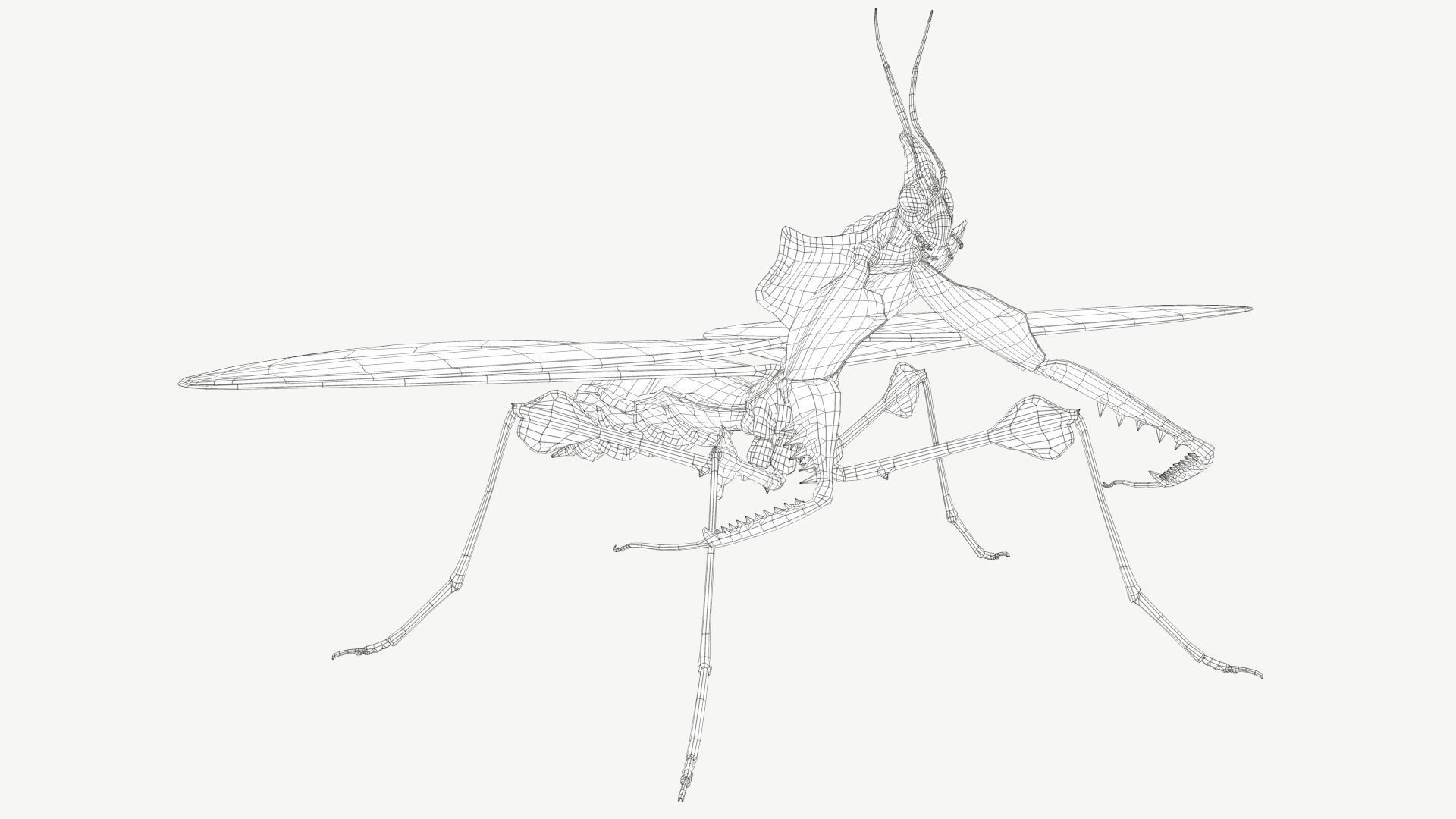 Giant Devils Flower Mantis Low-poly 3D model_2