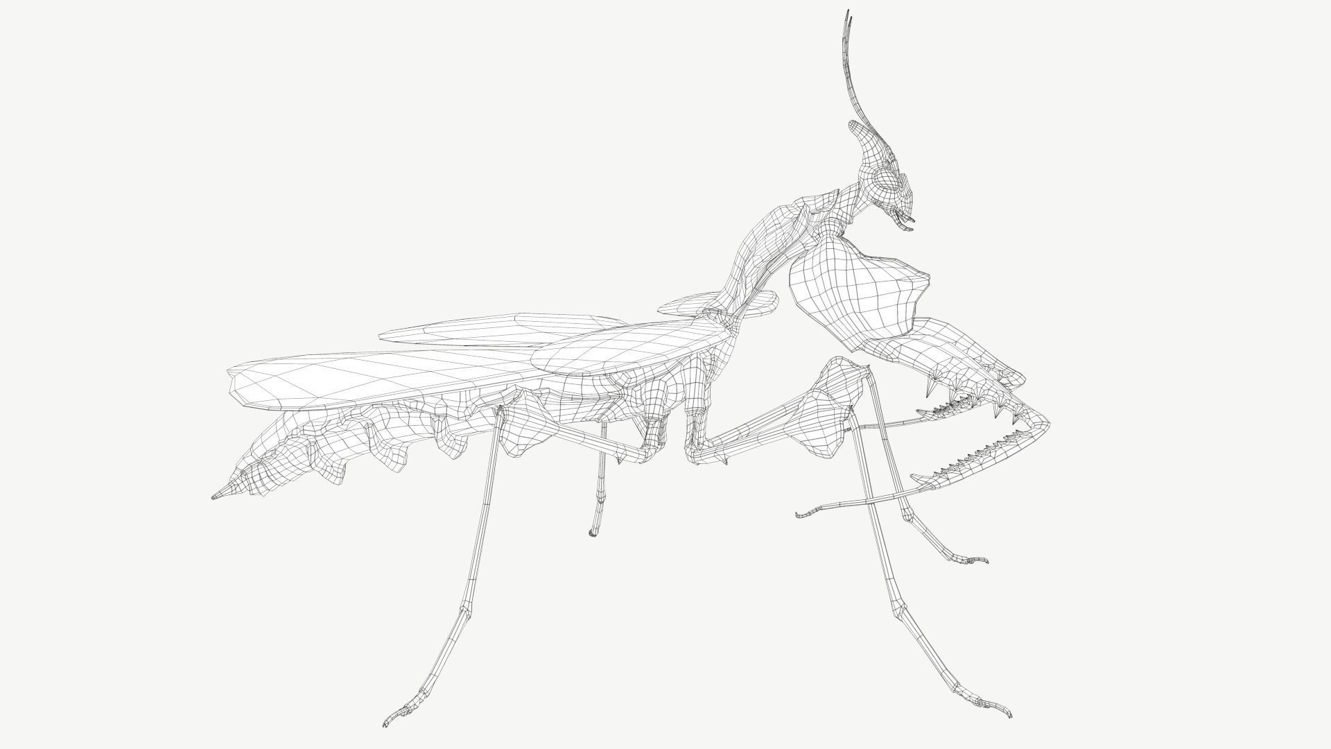 Giant Devils Flower Mantis Low-poly 3D model_4