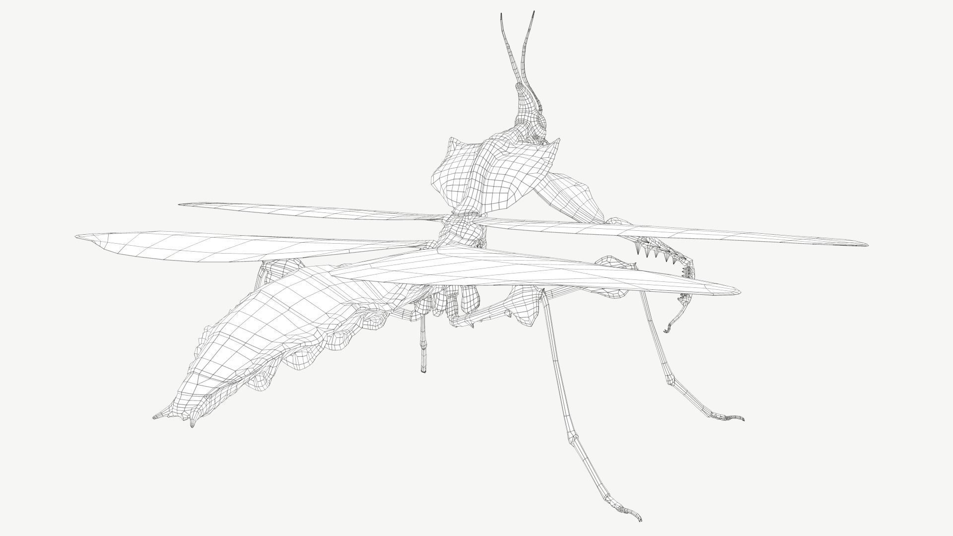 Giant Devils Flower Mantis Low-poly 3D model_6