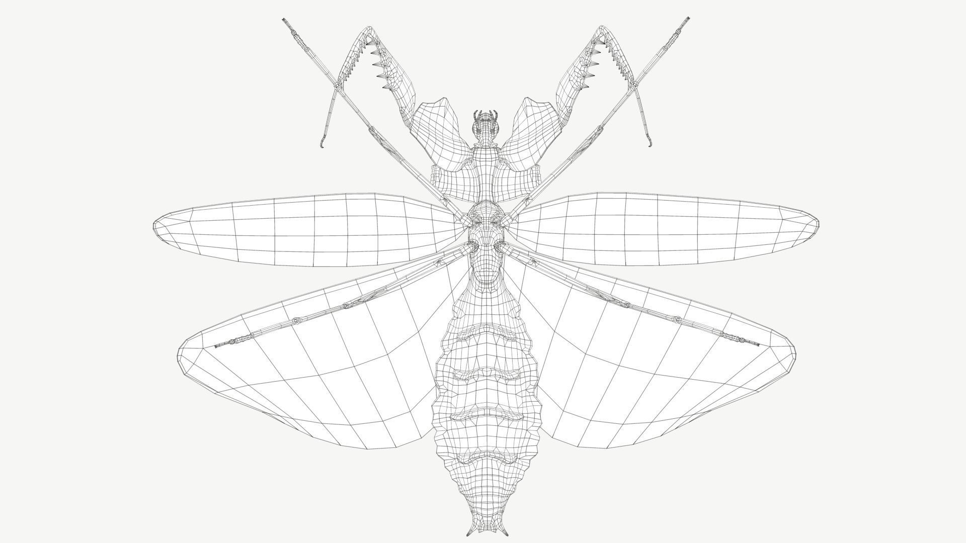 Giant Devils Flower Mantis Low-poly 3D model_14