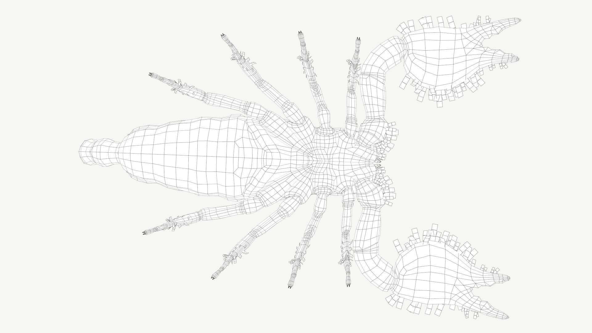 Emperor Scorpion Low-poly 3D model_13