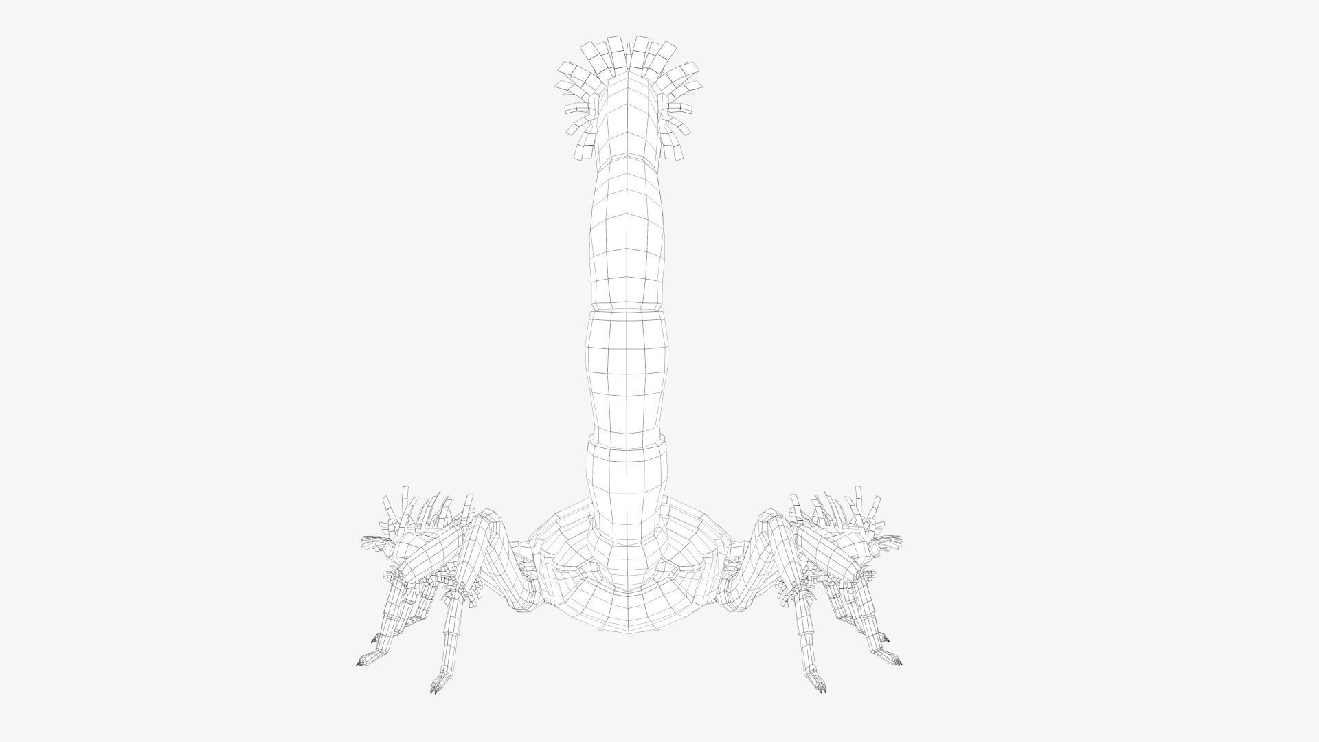 Emperor Scorpion Low-poly 3D model_7