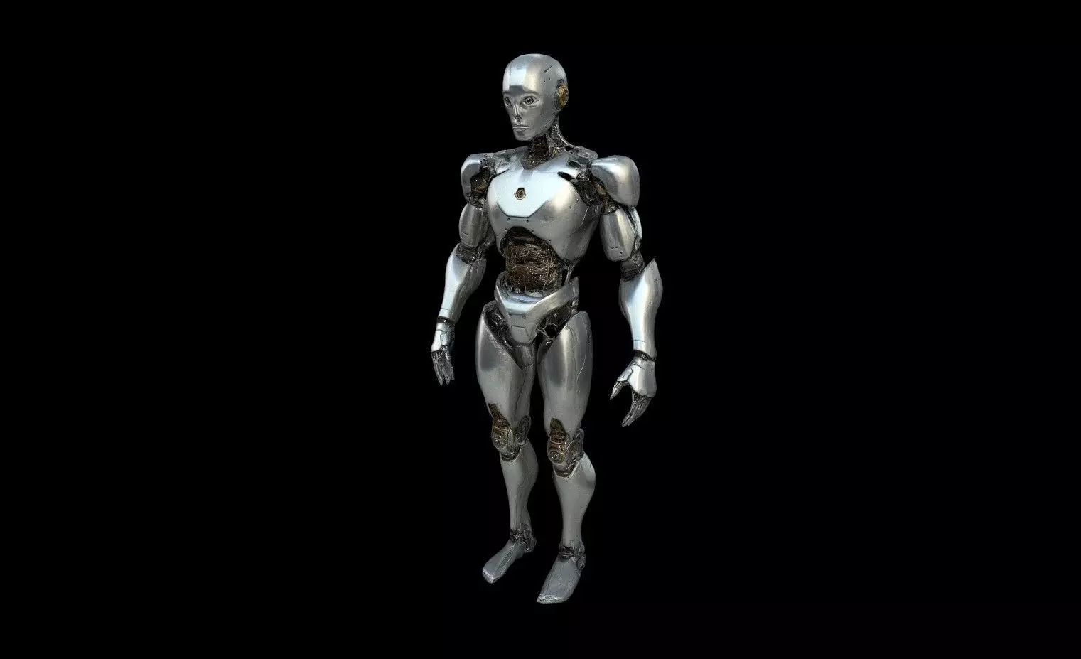 Robots Pack 1 Low-poly 3D model_13
