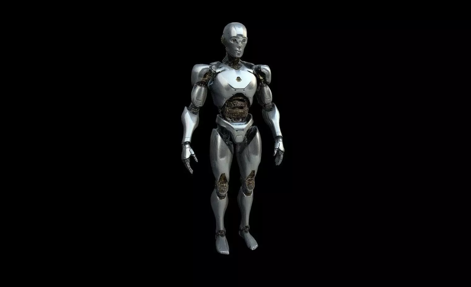 Robots Pack 1 Low-poly 3D model_8