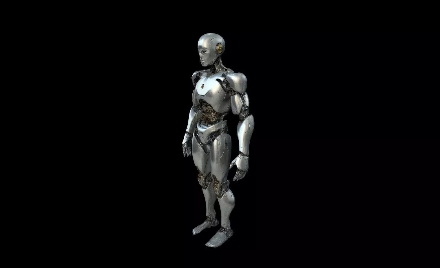 Robots Pack 1 Low-poly 3D model_18