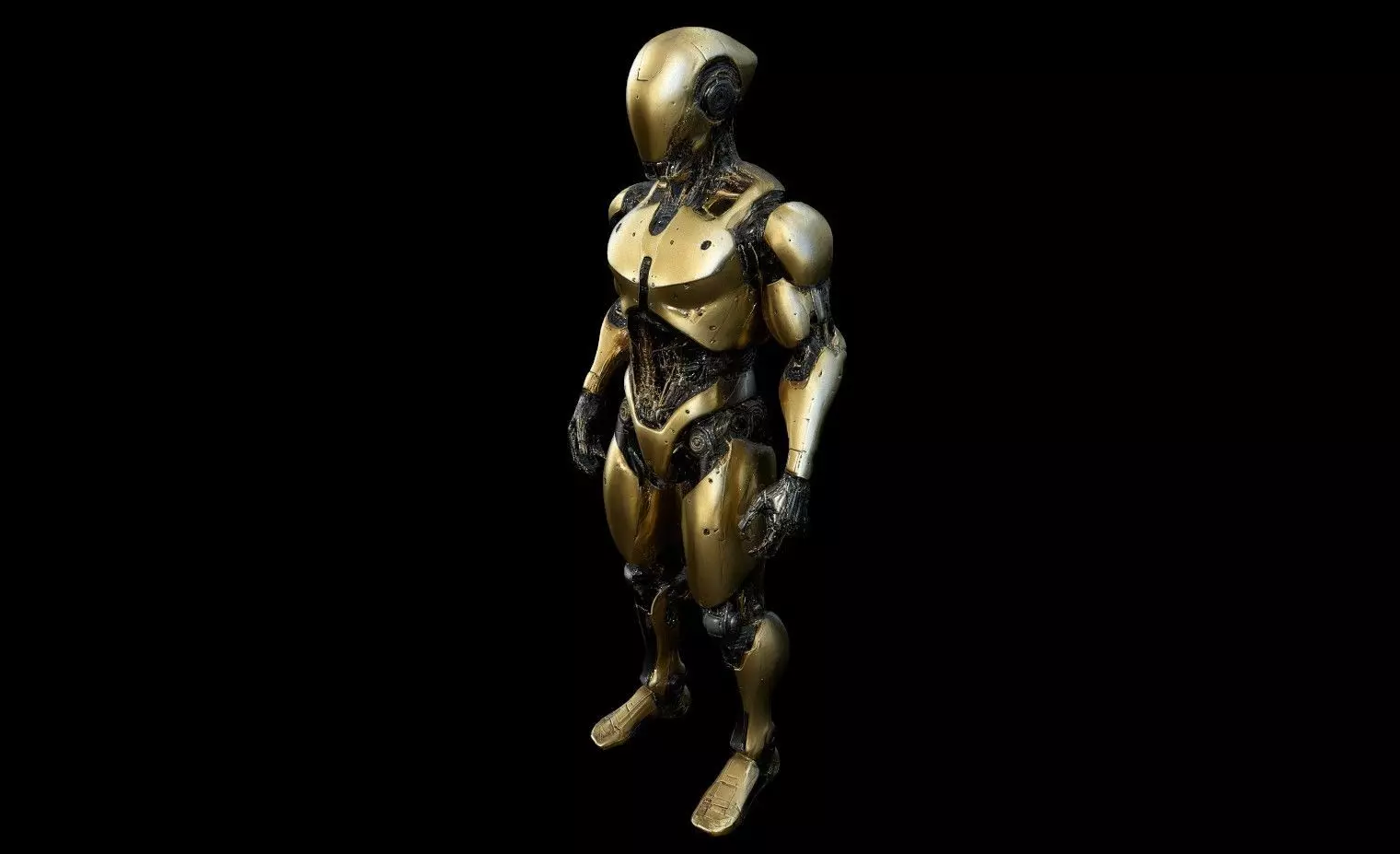 Robots Pack 1 Low-poly 3D model_20