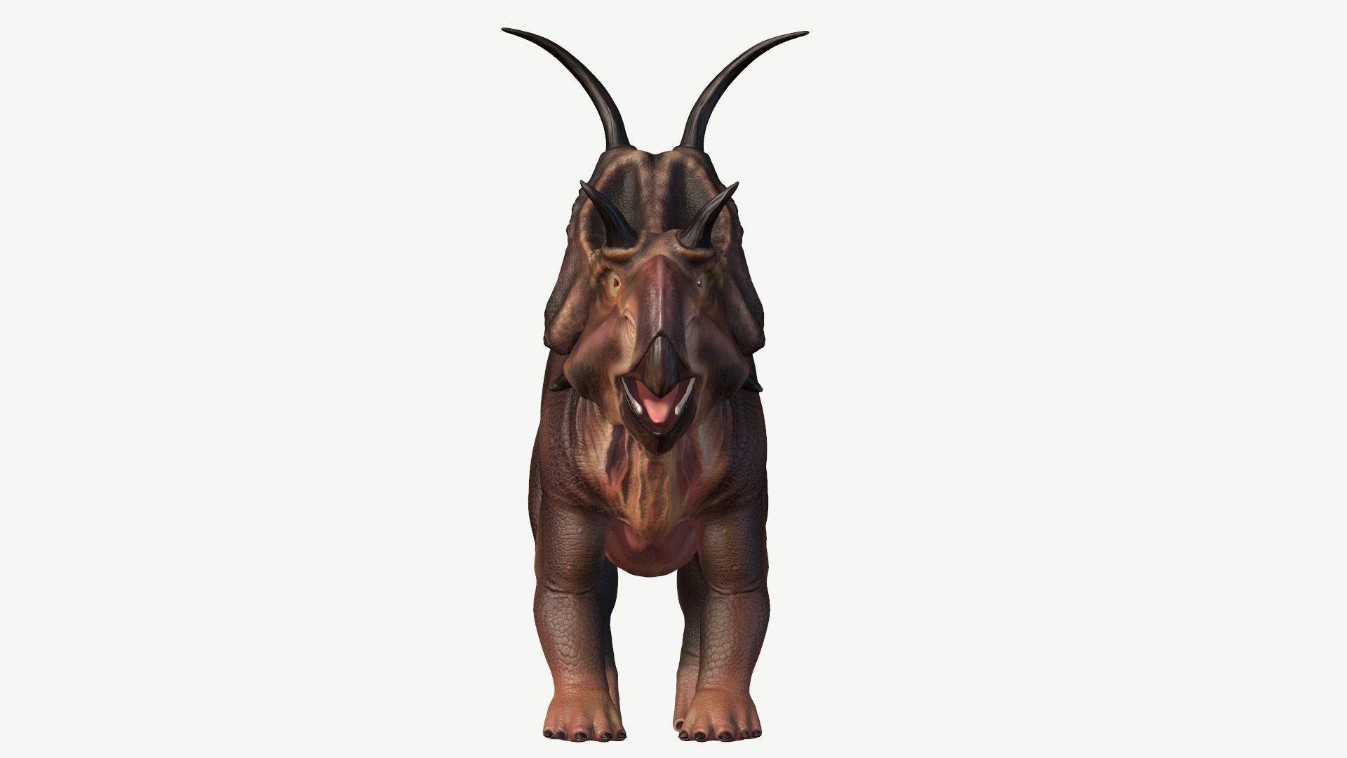 Diabloceratops dinosaur Low-poly 3D model_9