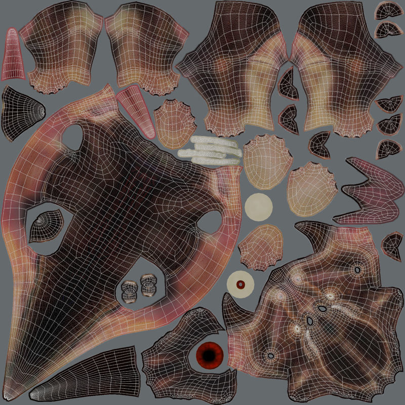 Diabloceratops dinosaur Low-poly 3D model_13