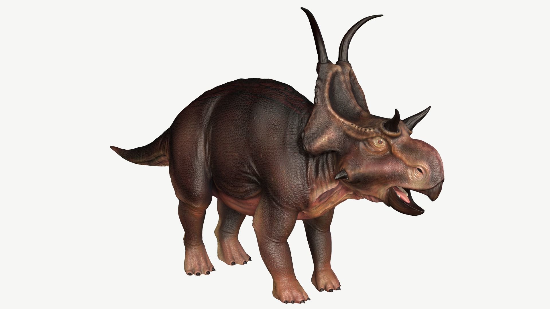 Diabloceratops dinosaur Low-poly 3D model_1