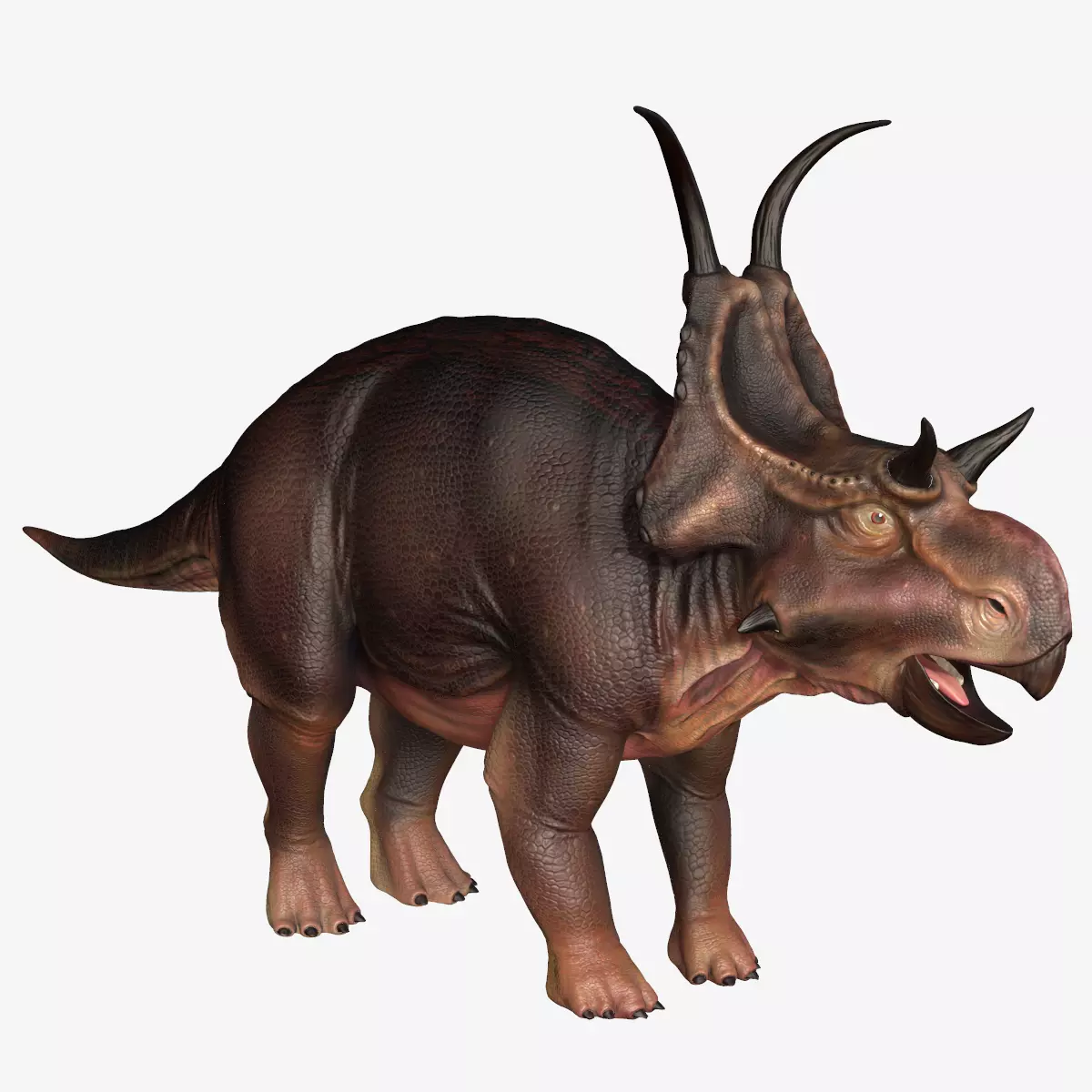 Diabloceratops dinosaur Low-poly 3D model_0