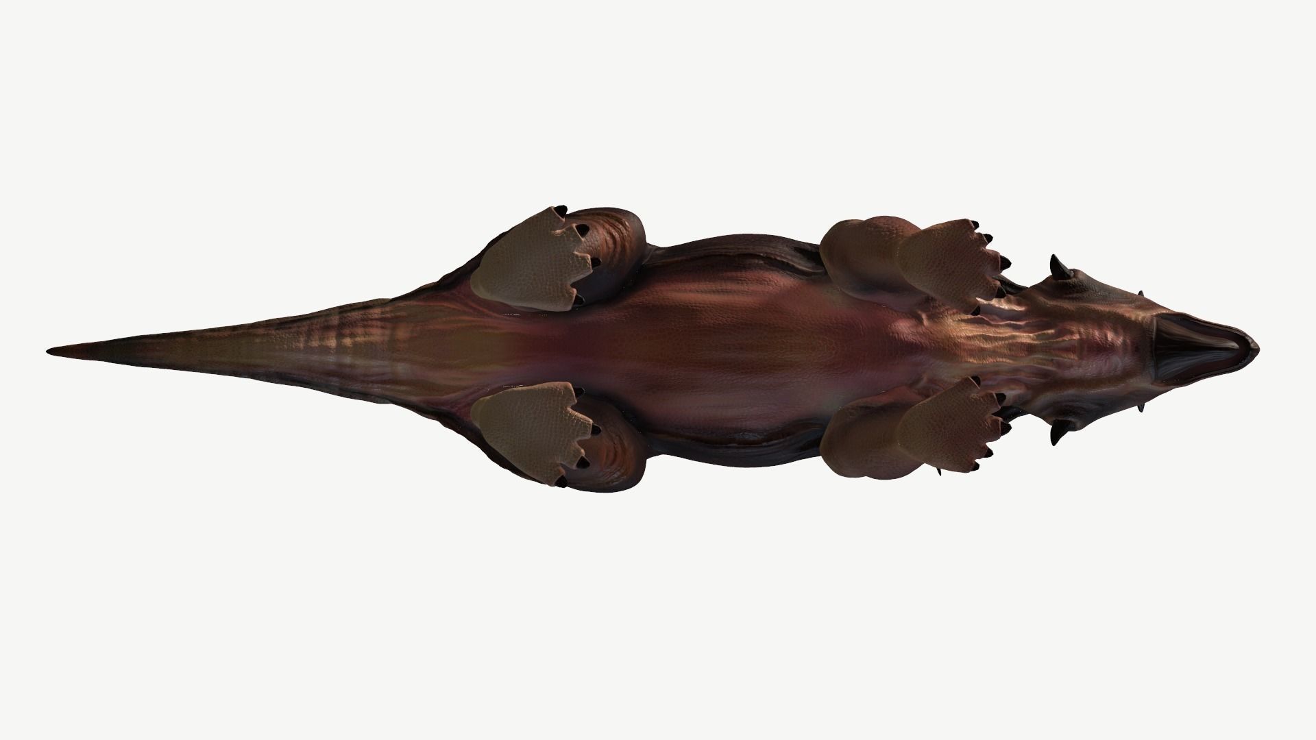 Diabloceratops dinosaur Low-poly 3D model_11