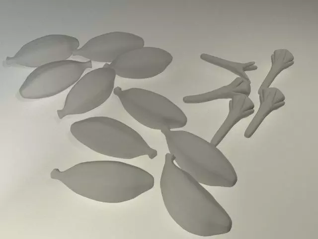 Cardamom with Clove Low-poly 3D model_5