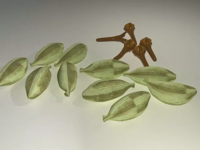Cardamom with Clove Low-poly 3D model_0