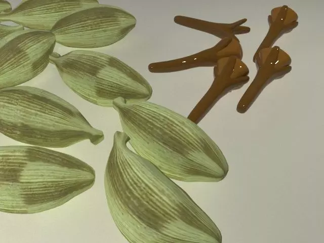 Cardamom with Clove Low-poly 3D model_2