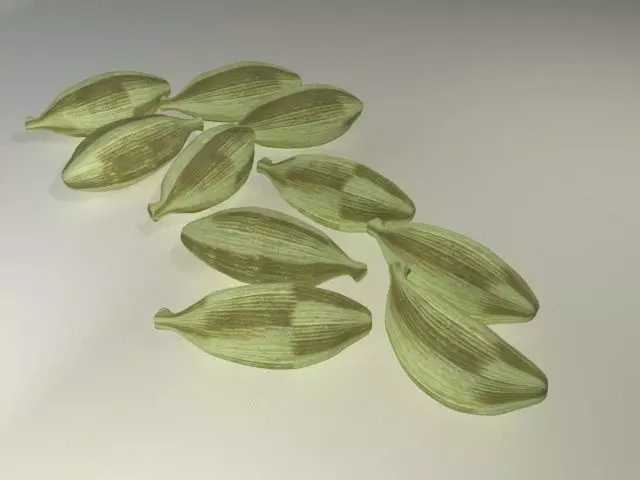 Cardamom with Clove Low-poly 3D model_4