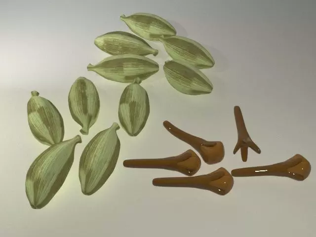 Cardamom with Clove Low-poly 3D model_1
