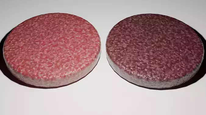 Realistic Burger patty and grilled Burger patty