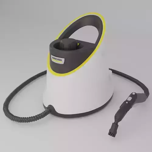 Steam cleaner