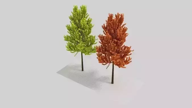 beautiful tree