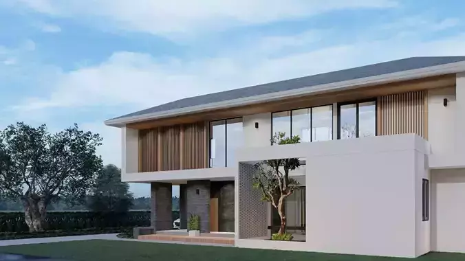 Tropical modern house