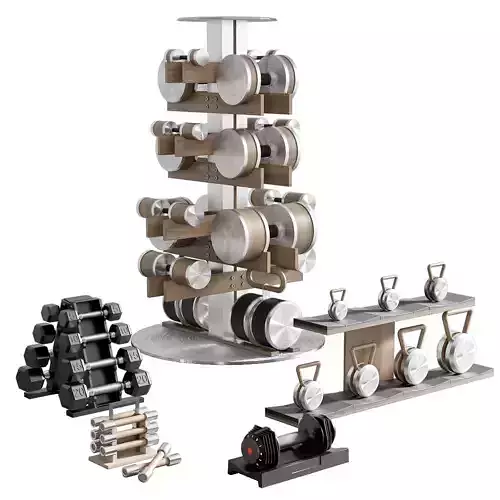 GYM AND FITNESS EQUIPMENT ASSET NO2 A 3D model
