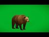European Brown Bear Low-poly 3D model_1