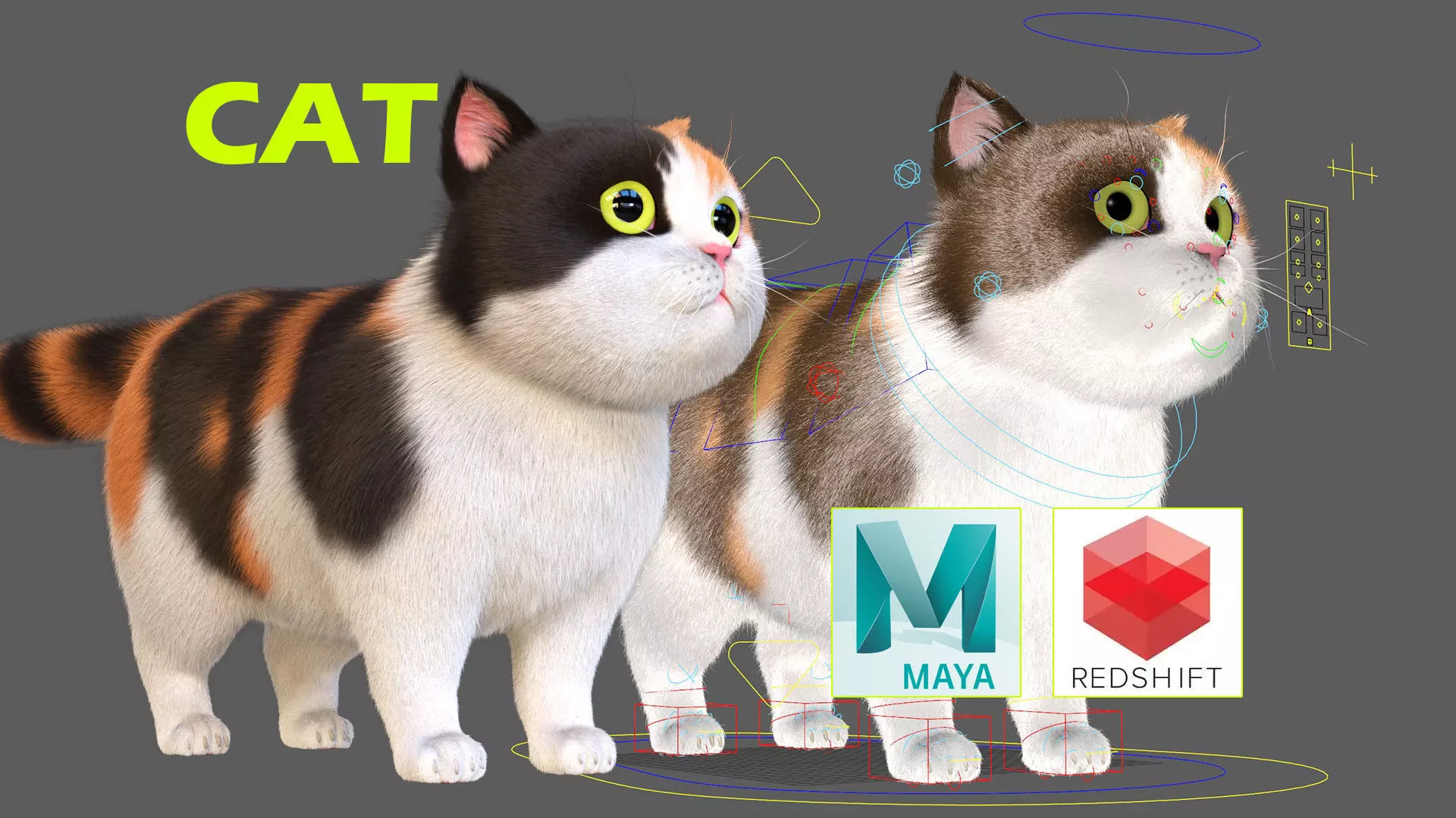 Cute Cat 3D model_0