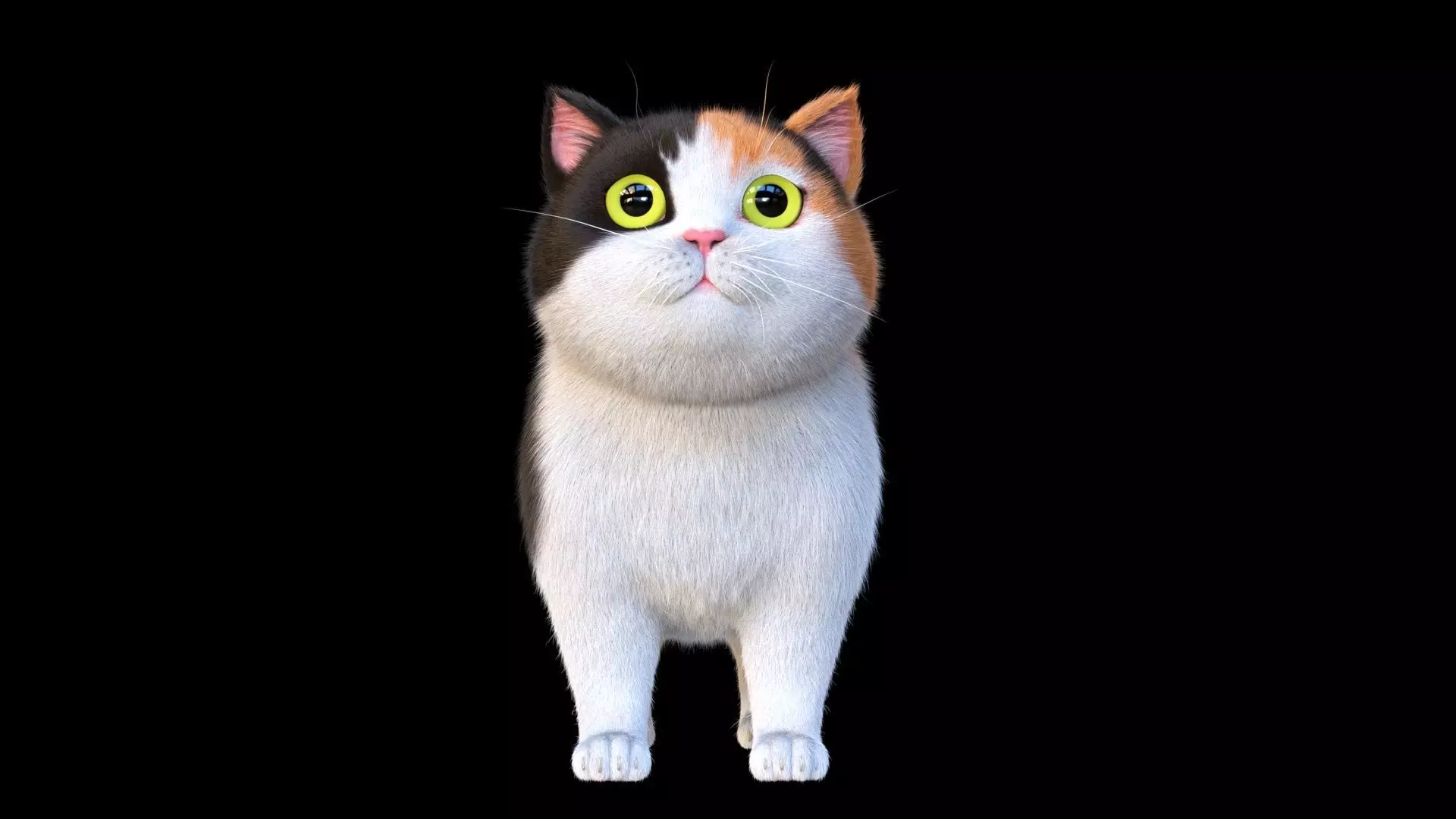 Cute Cat 3D model_3