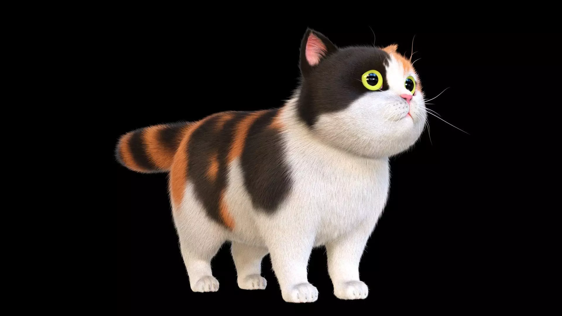 Cute Cat 3D model_1