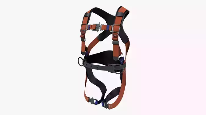 Safety Harness
