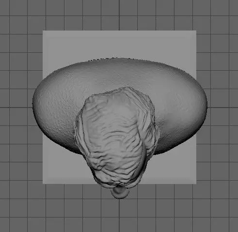 Dangerous and charming 3D print model_3