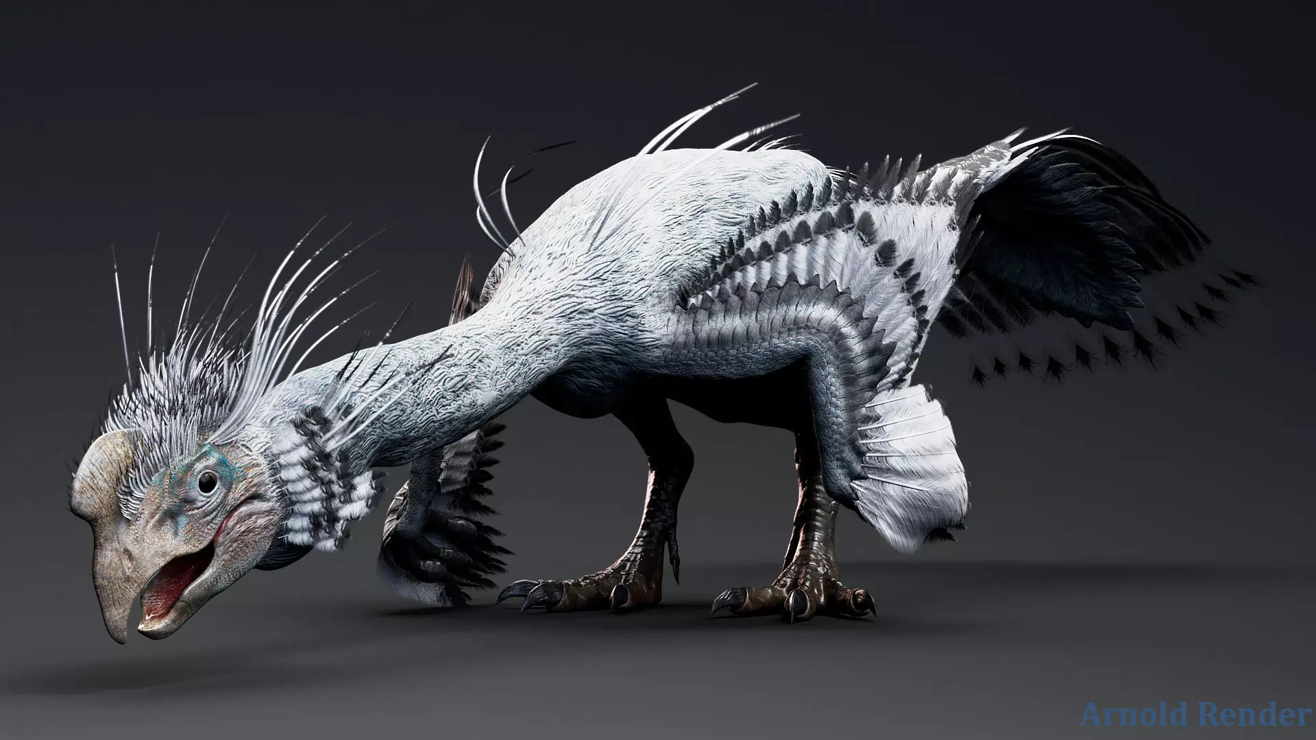 Dinosaur GigantoRaptor - Oviraptorosaur Unity Engine Project Low-poly 3D model_5